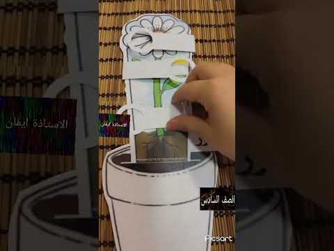 رسم اجزاء الزهرة