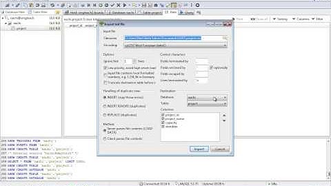 Import CSV file into a MySQL table using HeidiSQL