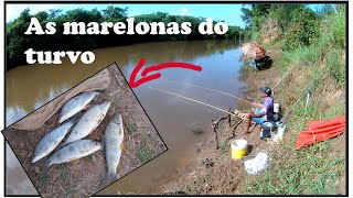 Quaiô no Jatobá Rio Turvo