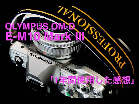 写真家 泉 悟朗 OLYMPUS OM-D E-M10 Mark IIIを1年間使用した