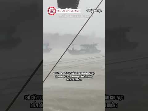 Bão YAGI là