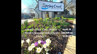 Spring Creek Two Bedroom Remodeled (Large)