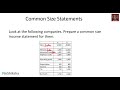 Financial Statements - Common Size Income Statement