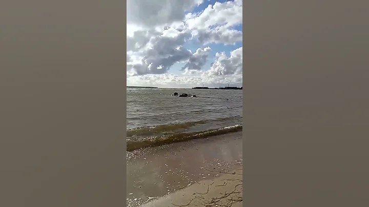 watch this video and how is this #short