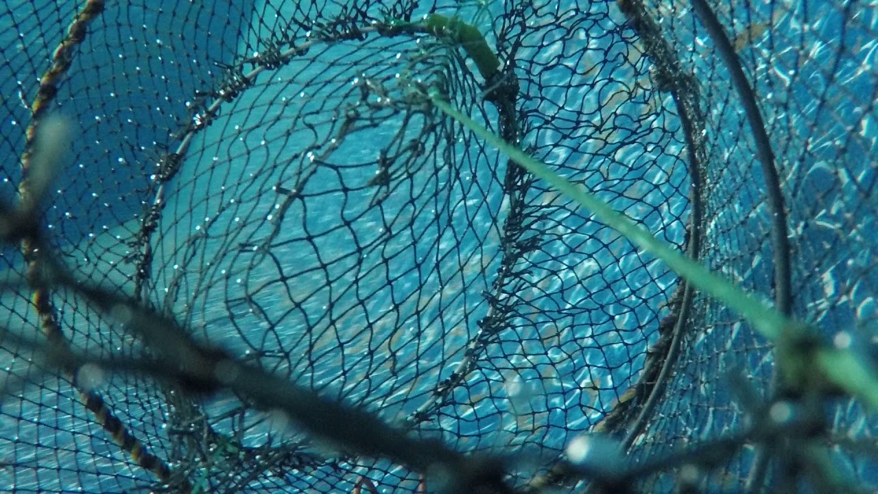 Underwater fishtrap (test)