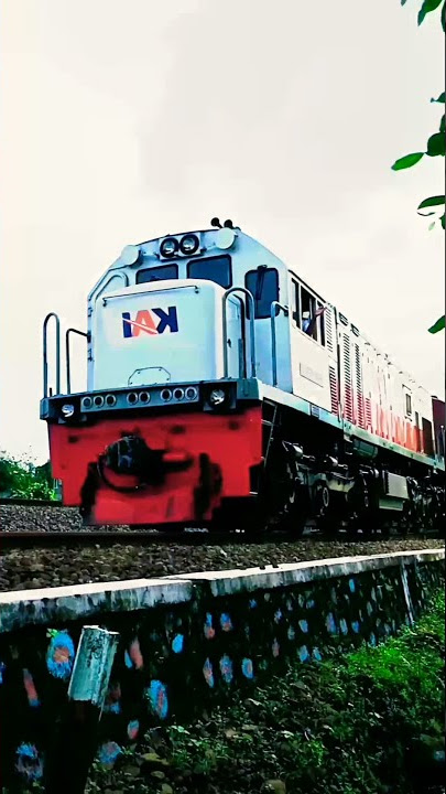 story WA Kereta Api #SHORTS