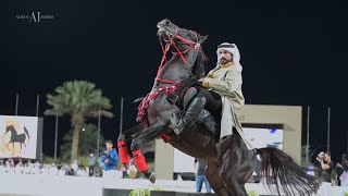 Erab Arabian Horses International Show 2022 - The Official Aftermovie