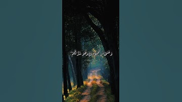 وَعَسَىٰٓ أَن تَكْرَهُواْ شَيْـًٔا وَهُوَ خَيْرٌ لَّكُمْ ۖ... قرآن كريم بصوت القارئ راشد العفاسي..💙
