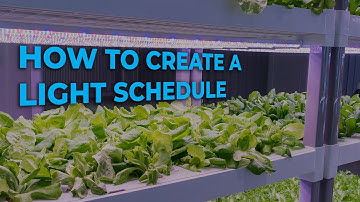 Building light schedules in the GrowFlux App