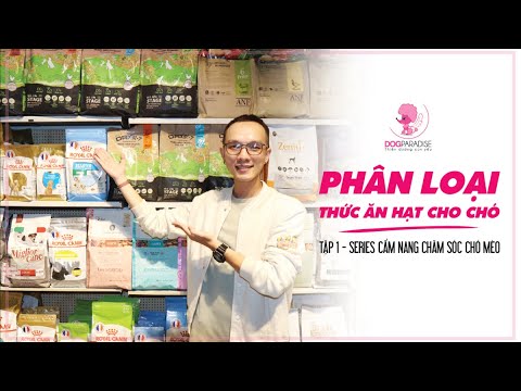 Video: Thức ăn Cho Chó Cao Cấp