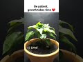 Be Patient.... Growth Takes Time.... Very Motivational and Inspirational Video