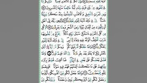 صفحة/٢٧٤/ رواية ورش عن نافع/ سورة النحل/ ابو النور الهادي