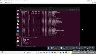 Comando echo - Ubuntu