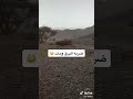 ضربه البرق ومات