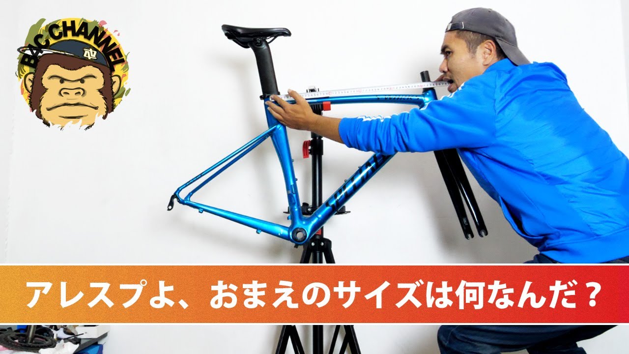 ⭐︎specialized allez フレーム ジャンク品⭐︎ Allez Sprint Frameset - Sagan Collection