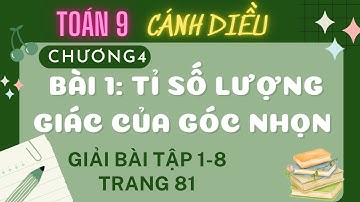 Giải Toán 9 - Cánh diều - Bài 1: Tỉ số lượng giác của góc nhọn - Bài 1,2, 3,4,5,6,7,8 trang 81