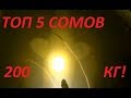 ТОП 5 крупных СОМОВ моего канала!200кг Сома в 5 рыбах!