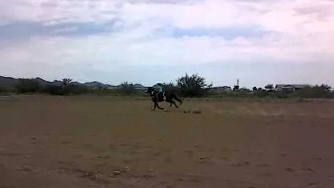 Alyssa and Flirt.