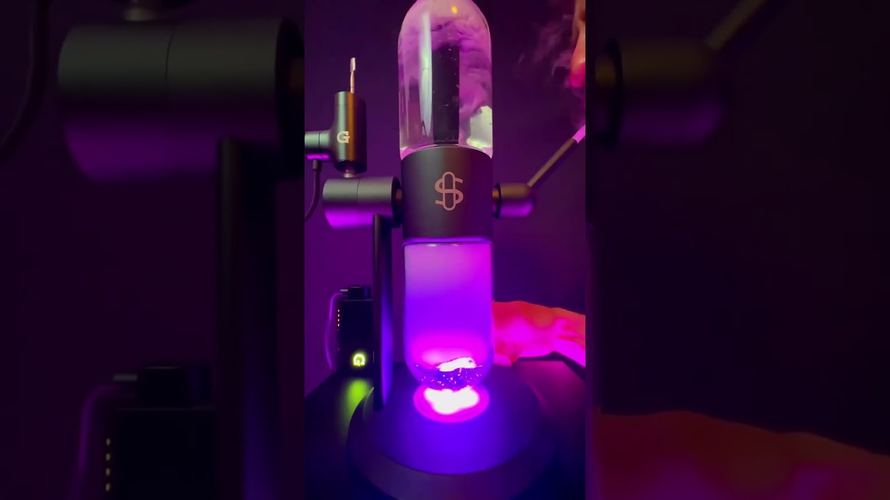 Go Stoner life Hyer SG