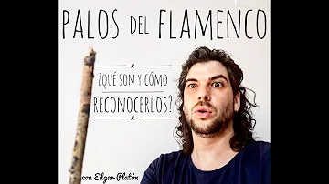 ¿Cuál es el plural de flamenco?