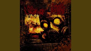 Famous Aim at the eyes of gohma Net Worth