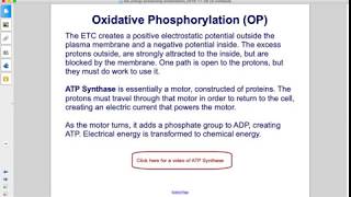 Bio Energy Processing Cellular Respiration Part 6