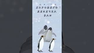 19 декабря 2023 г.