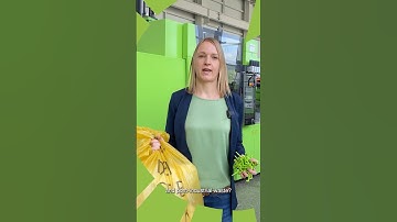 Keeping plastics in the loop | How to Successfully Process Post-Consumer Recycled Materials