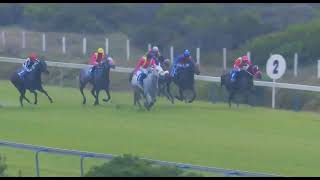 ARCTIC ICE - RACE 8 #kenilworth 13 AUGUST 2022