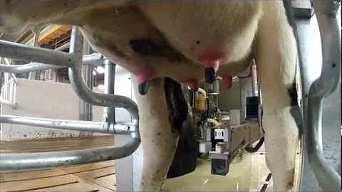 MR-S1 Milking Robot (English)