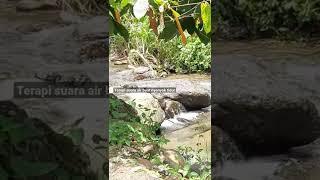 Releksasi Suara Air shorts