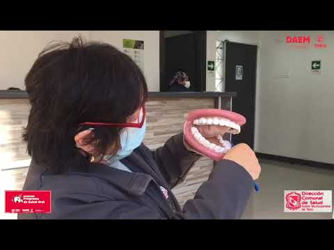Visita Clínica Dental Municipal