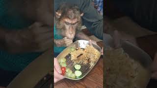 Обезьяний плов😋☝️🐒