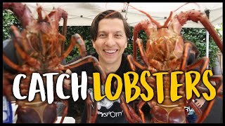 Hoop Netting California Spiny Lobster | Kayak Hoop Netting Lobster