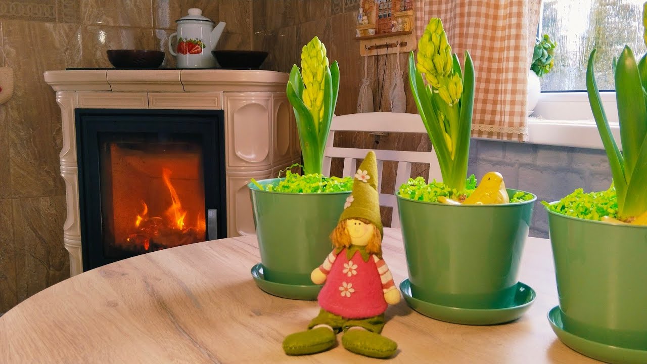 Февраль в ярости, а я создаю уют 🌿 Сад, рассада и тишина