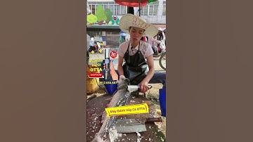 Máy đánh vảy cá cầm tay OTTA trải nghiệm thực tế Phần 13  #maydanhvayca