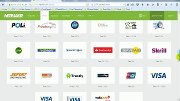 Neteller Video Support - How much are The Neteller Fees?