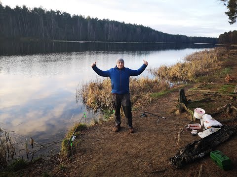 Wideo: Jak Zarejestrować Osobę Zarejestrowaną W Sprywatyzowanym Mieszkaniu?