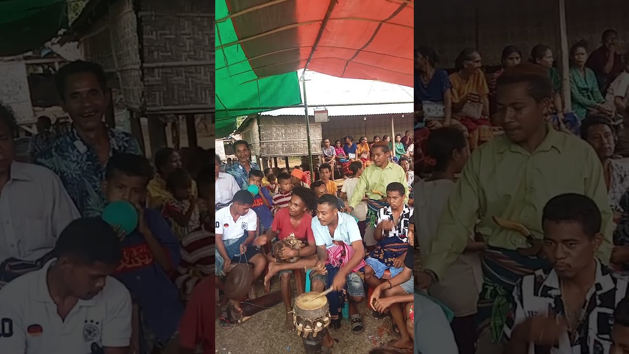 tambur sumba barat daya 🙏👍#sumba #ntt #tanah #marapu