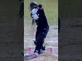 #run