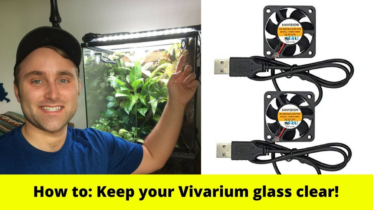How To: Keep Your Vivarium Glass Clear!