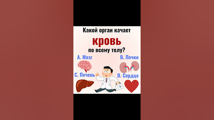 Какой орган качает кровь по всему телу? #орган #сердечнососудистаясистема #медицина #нашетело