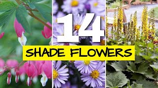 Flowering Plants for Shade & Woodland Gardens (Gorgeous) by Pretty Purple Door Garden Design 6,798 views 9 days ago 13 minutes, 17 seconds