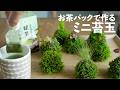 お茶パックを使ったミニ苔玉の作り方 No.229