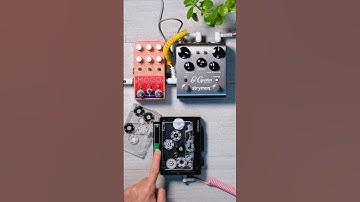 Do you like tape loops?　#shorts