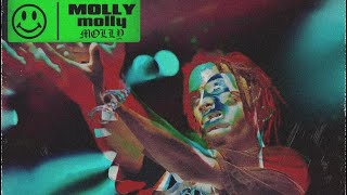 Molly | Playboicarti l Lyrics | Resimi
