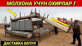 МОЛХОНА УЧУН ОХИРЛАР 2023 !!! ДАСТАВКА БЕПУЛ СИЗ СУ́РАГАН ВИДЕО ХОРАЗМ БОЗОР