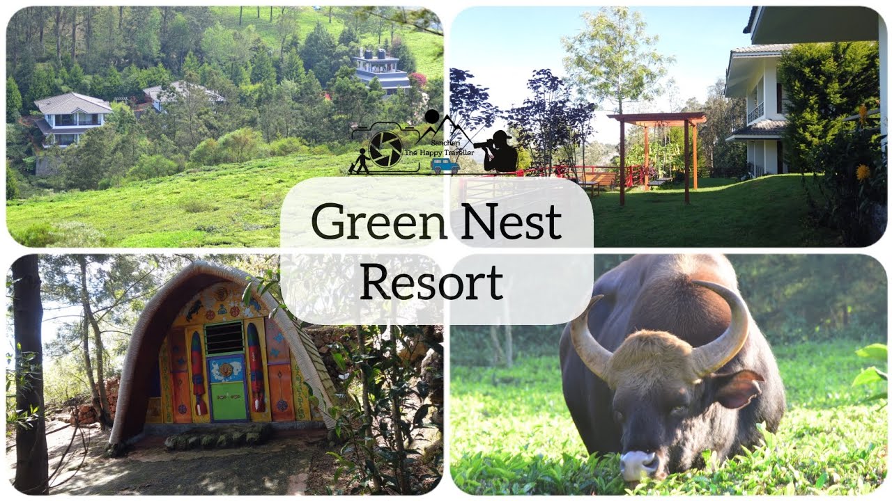 Green Nest Resort Kotagiri / Stay in Kotagiri / Ooty Resorts / Tea