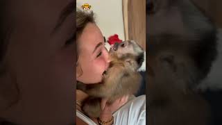 Theo The Monkey Is Reunited With Adopted Human Mother