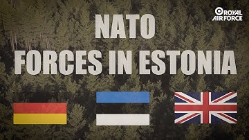 Joint Force Protection Exercises in Estonia